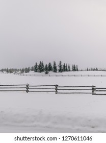 Driving By The Fences In Jackson Hole, Wyoming