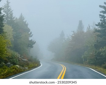 Driving up Cadillac Mountain in Acadia National Park on an autumn morning, the fog hung in the air like a blanket, adding an air of mystery to the beautiful ascent - Powered by Shutterstock