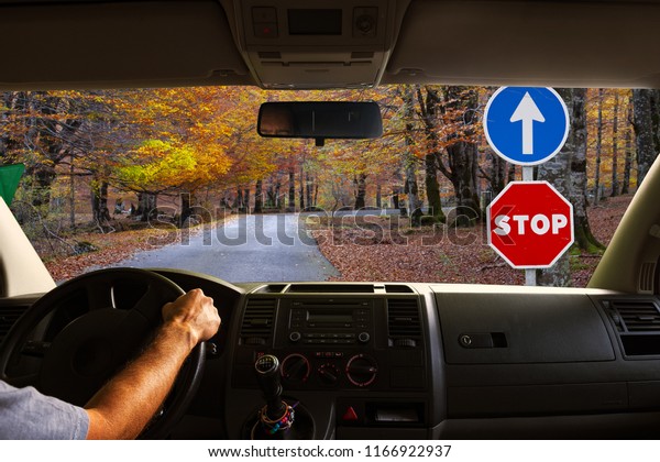 Driving a car on the road with traffic\
signals, the road is lost in the forest in\
autumn.