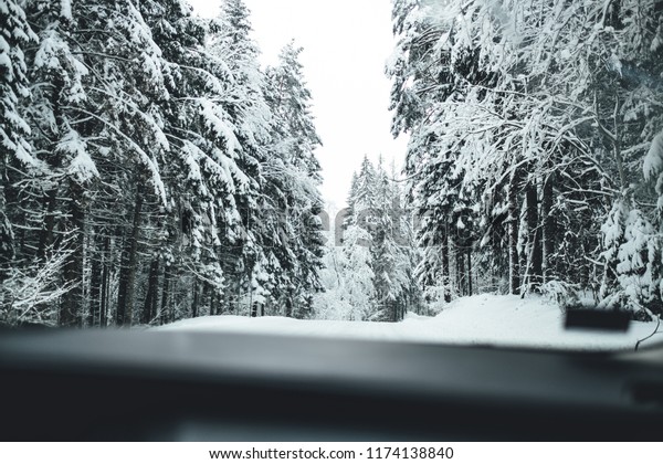 Driving in car in winter\
road, wild forest road, pine forest in winter time, trees covered\
in snow.