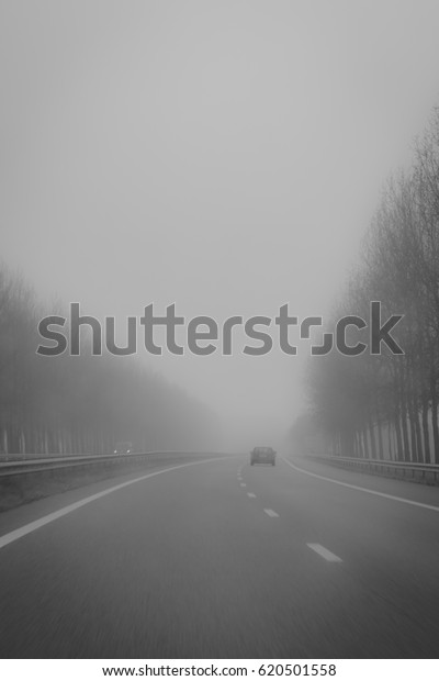 Driving in the Fog - Black\
and White