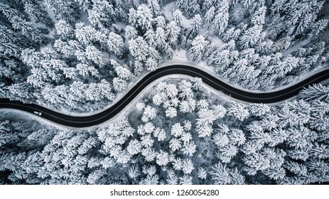 Driving In Forest After Snowfall, Aerial Drone View.