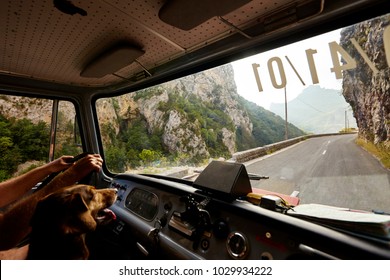 Driving And Looking Through The Windshield Of A Fire Engine Driver Man And Dog Looking At Road And A Curve