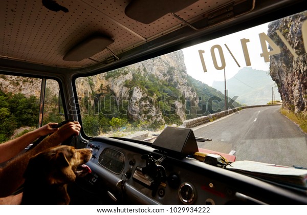 Driving and looking\
through the windshield of a fire engine driver Man and dog looking\
at road and a curve
