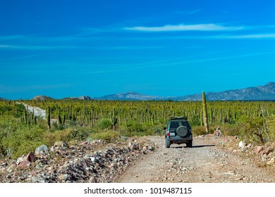 Driving In Mexico Baja California Desert Endless Road