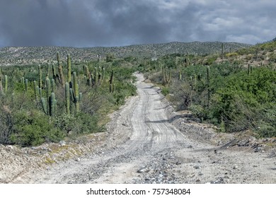 Driving In Mexico Baja California Desert Endless Road