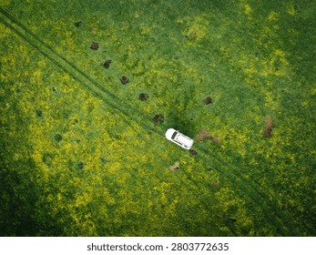  Driving off road car on the high altitude flowering grassland mountains
