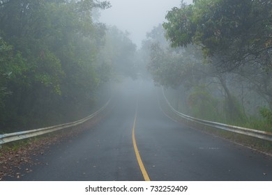 Driving Slowly On The Wet Road Into The Deep Forest In The Mountain With Not Good Vision Because Of The Fog On The Road Due To Heavy Rain At Night. Foggy Road Edited In Dark Tone With A Little Grain