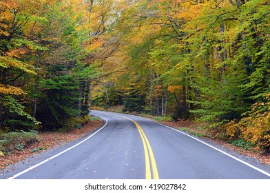 Driving Through Fall Foliage In Upstate New York