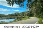 Driving through the marsh area of northeast Florida.