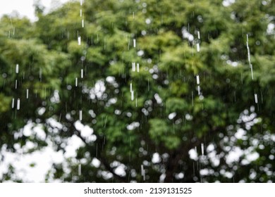 Drizzle Rain And Raindrop In Selective Focus And Blurred Background.