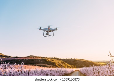 Dron Flying Over Field Of Flowers