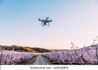 Dron Flying Over Field Of Flowers