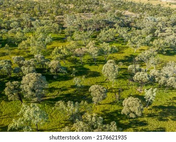 Drone Aerial Over Bush In The Sapphire Wetlands Nature Reserve At The Gemfields Of Queensland Australia.