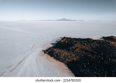 Drone Aerial Photo of Cactus Island Bolivia Salar de Uyuni Salt Flats - Shutterstock ID 2254783105