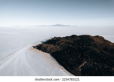Drone Aerial Photo of Cactus Island Bolivia Salar de Uyuni Salt Flats - Shutterstock ID 2254783121