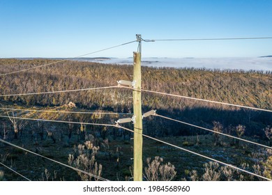 Drone Aerial Photograph Of A Telephone Pole And Wires In A Forest Affected By Bushfires