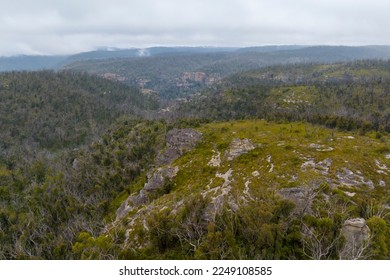 Drone aerial photograph of trees in a large valley recovering from severe bushfire in the Blue Mountains in New South Wales in Australia