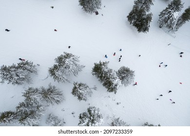 Drone aerial scenery of mountain snowy forest and people playing in snow. Wintertime photograph Troodos mountains Cyprus