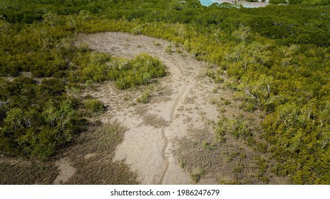 Drone Aerial Of A Tidal Creek Bank Environment