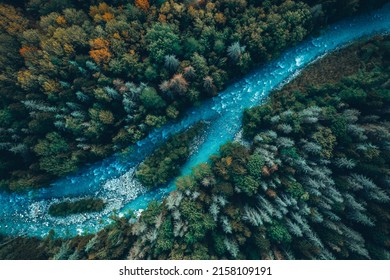 Drone aerial top view of montain river and forest - Powered by Shutterstock