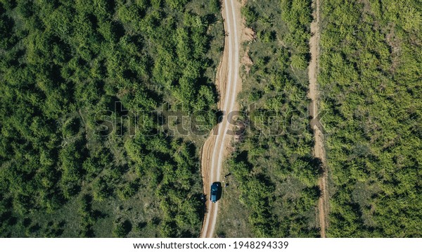 Drone Aerial Top View Trees Background Road\
Car Travel Spring Summer Texture\
Green