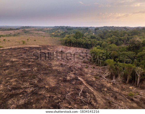Drone aerial view of deforestation in the\
amazon rainforest. Trees cut and burned on illegally to open land\
for agriculture and livestock in the Jamanxim National Forest,\
Para, Brazil.\
Environment.
