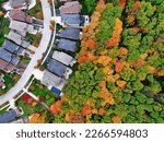 Drone aerial view of detached house neighbourhood community street with autumn fall colours nature trees surrounding. Real estate, development and suburban cityscape background. 