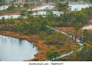 Drone aerial view of huge swamp in Latvia. The Great Kemeri Bog Boardwalk is a popular tourist destination in Kemeri National Park, offering visitors a chance to explore the bog