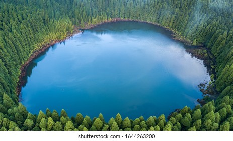 Drone aerial view of "Lagoa do Canario" lagoon surrounded by green forest located on Sao Miguel, Azores, Portugal.