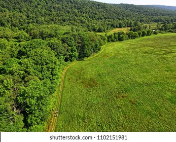 Drone aerial view of nature trees