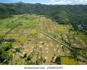 Drone aerial view of patchwork rice paddies and agricultural fields with a rural road cutting through tropical farmland, bordered by lush green hills. Ideal for travel and agriculture editorial.