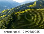 Drone aerial view of rice terrace field of La Pan Tan near Sapa, Vietnam