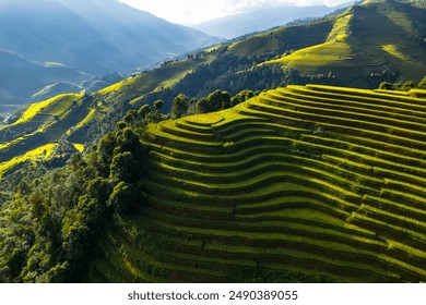 Drone aerial view of rice terrace field of La Pan Tan near Sapa, Vietnam - Powered by Shutterstock