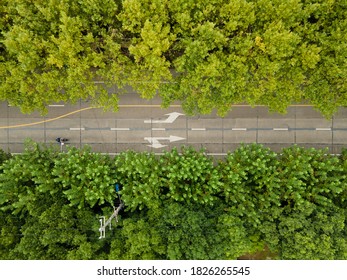 Drone Aerial View Of Road With Forest And Trees Along The Road With Few Cars And Passengers. The City Street With Road Marks Surround By Green Plants. Calm Chill Cozy B Roll Footage Shanghai China