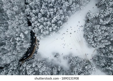 Drone Aerial View Of Road In The Snowy Forest. Vilnius County, Lithuania