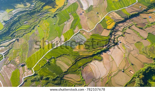 Drone approaches\
closely to  rice field parts divided to plots by water channels and\
pathways,aerial shot