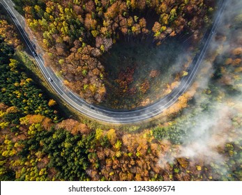 drone autumn road