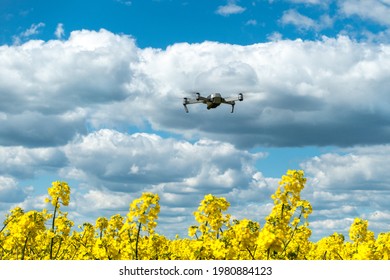 Drone in Blue Sky with Clouds above Yellow Canola Field. Farmer Studies Crops From the Air. New Agriculture Technology with Aircraft Help.