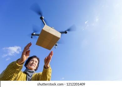 Drone Delivery Service