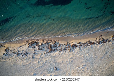 Drone Field Of View Of Of Footprints In The Sand And Water From Above Beach  In Western Australia.