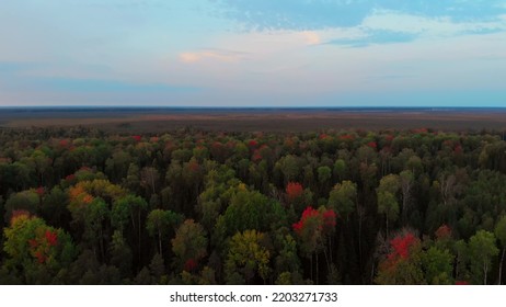 The Drone Flies Over The Autumn Forest In The Taiga Over The Oil And Gas Field. Industrial Oil Production In Canada Or In Russia. Fuel Crisis In The World Economy. Rising Oil And Fuel Prices.