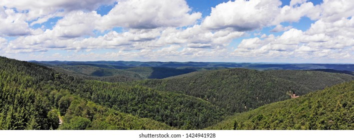 Drone Flight Above The Palatinate Forest