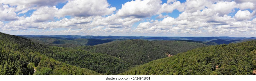 Drone Flight Above The Palatinate Forest