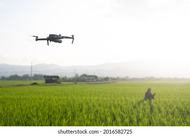 Drone Fly Explore Rice Green Farm Agriculture Technology Concept With Agricultural Women Standing To Watch The Sunset