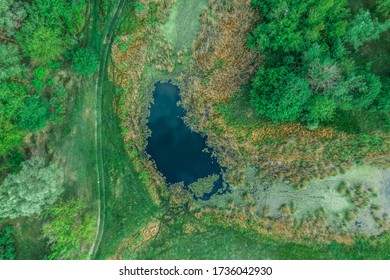 Drone Flyight Over Swamp, Lake, Forest, Path And River. Aerial Topographic Forest Lake View.