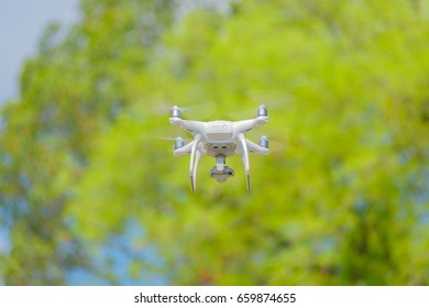 drone flying big tree front