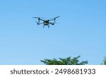 Drone is flying over a Rice field. The drone are used for agriculture to fertilize rice fields.