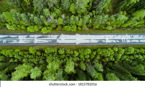 Drone Footage And Forest Landscape