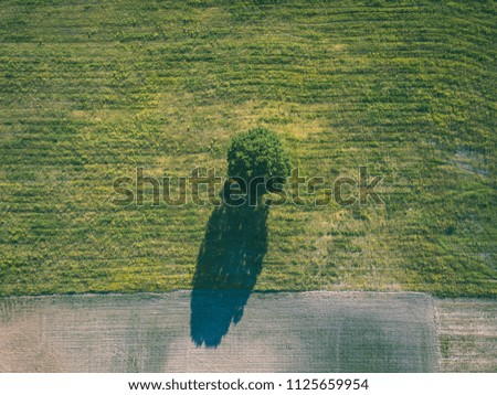 Similar – Baum von oben Natur